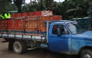 WhatsApp-Image-2025-09-04-at-10.44.25-_5_ (1)