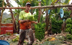 WhatsApp-Image-2025-09-04-at-10.44.26-_1_