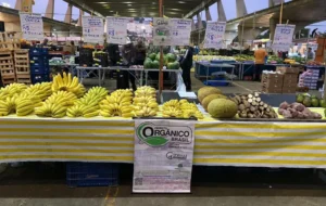 WhatsApp-Image-2025-09-04-at-10.44.28 (1)