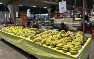 WhatsApp-Image-2025-09-04-at-10.44.31 (1)